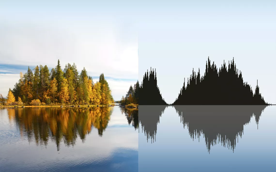 Split image shows trees reflected in a lake and a series of sound waves that look similar to the treeline.