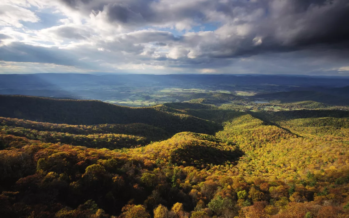 View in Shenandoah National Park with fall foliage on the ground and a cloudy sky.