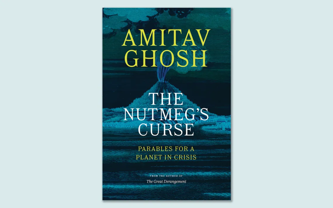 The Nutmeg's Curse