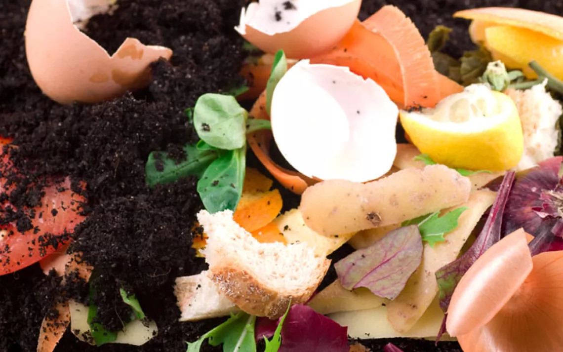 Get the basics on composting.