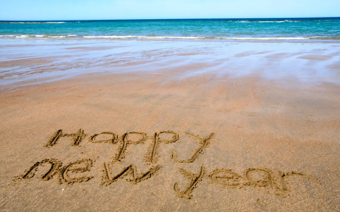 15 New Year's Resolutions