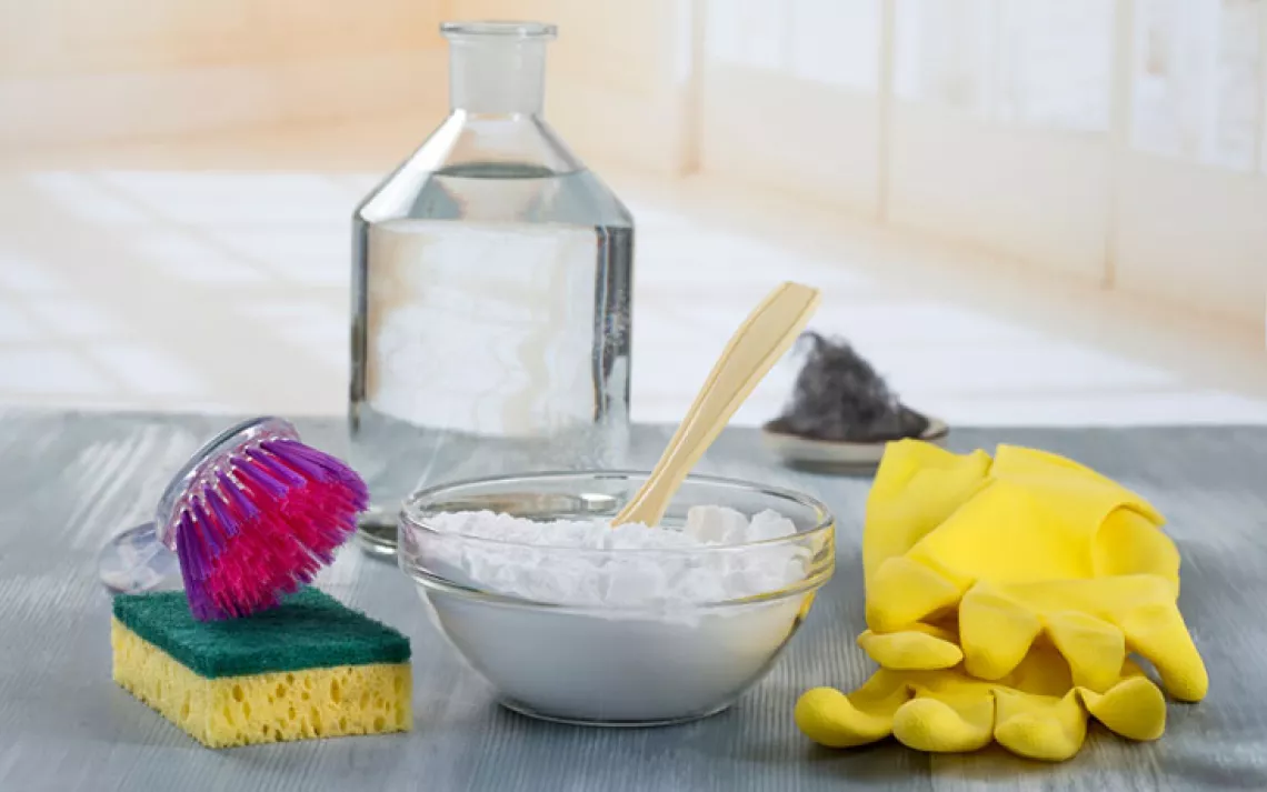 We're recommending books about how to clean your home in planet-friendly ways.