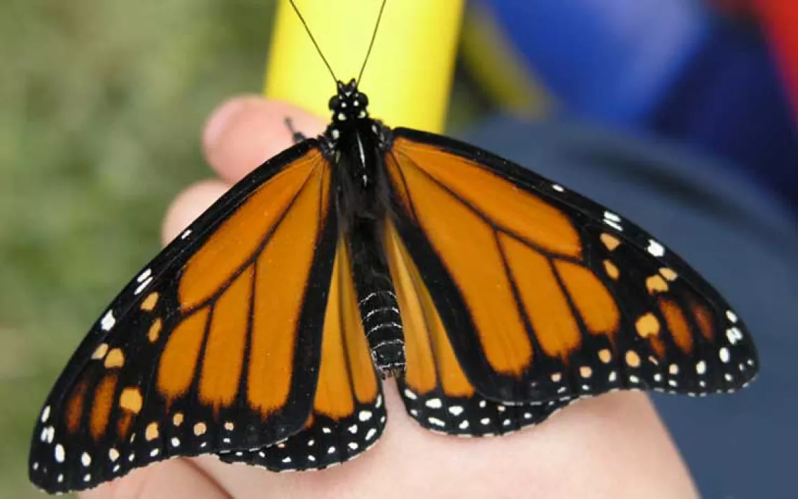 Give the gift that keeps on living!