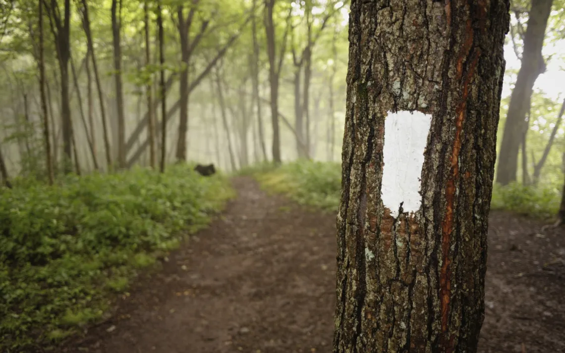 Appalachian Trail
