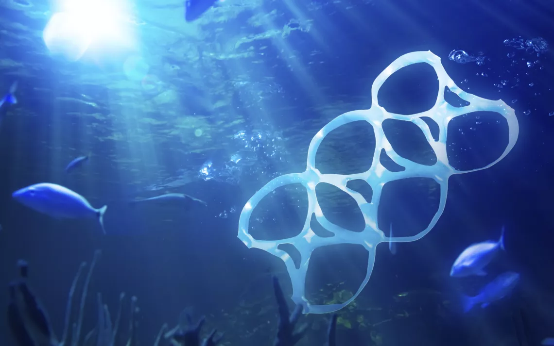 The danger of plastic six-pack rings - Protect the Wild