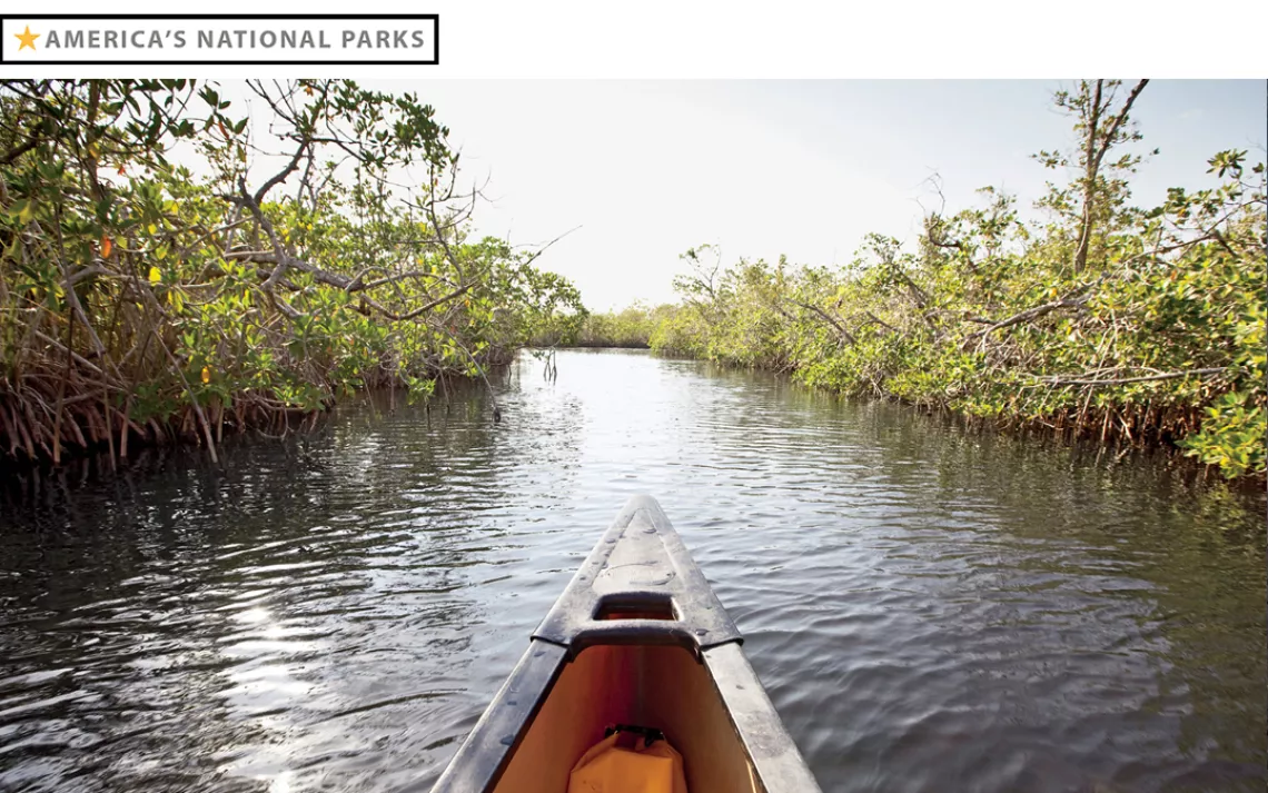 Canoe in mangroves, Everglades National Park