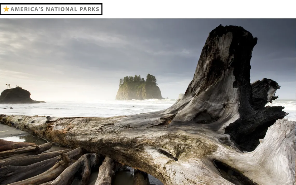 Beach 2, on the western edge of Washington's Olympic National Park.