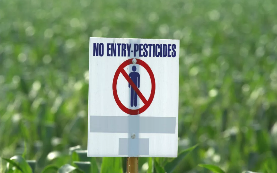 The word “pesticide” is now commonly applied  both to herbicides and pesticides.