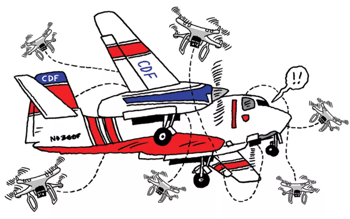 Civilian drones interfere with aircraft fighting wildfires in California while Australians spot an albino humpback whale.