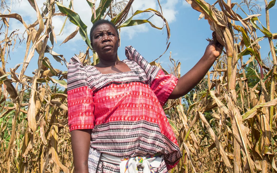 Constance Okollet has led climate change education and mitigation campaigns via the Osukuru United Women Network in Uganda.