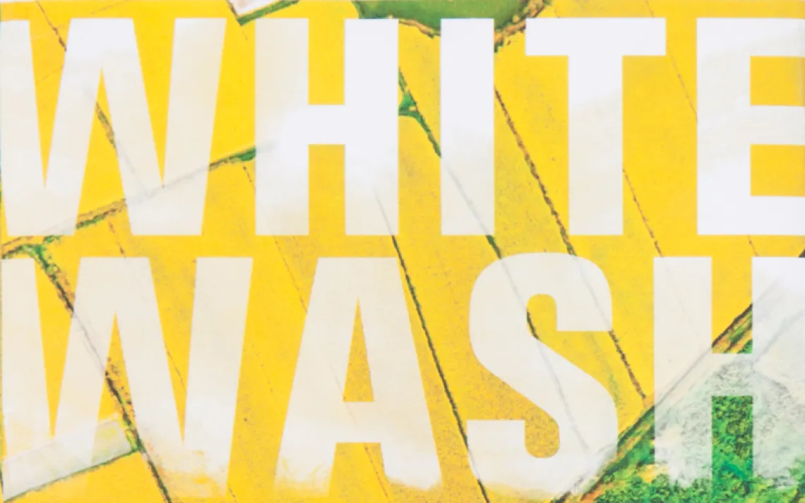 Monsanto's wonder weed killer could be a health and eco-calamity