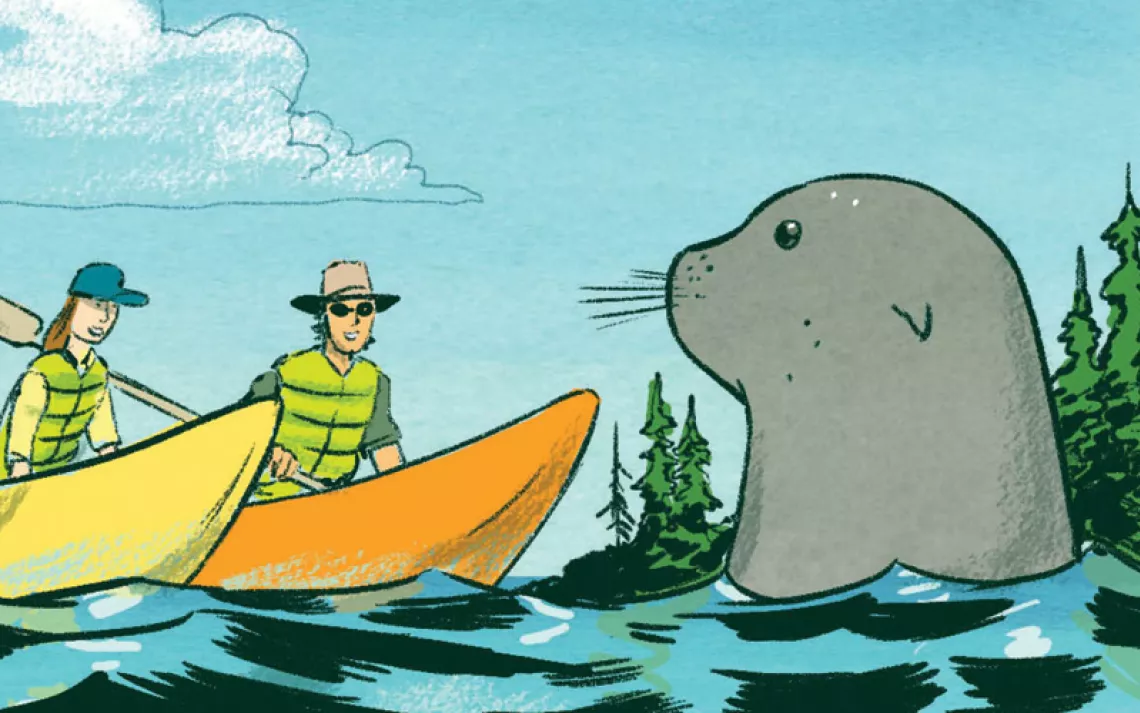 A love-starved seal is assaulting my husband's kayak! What should I do?