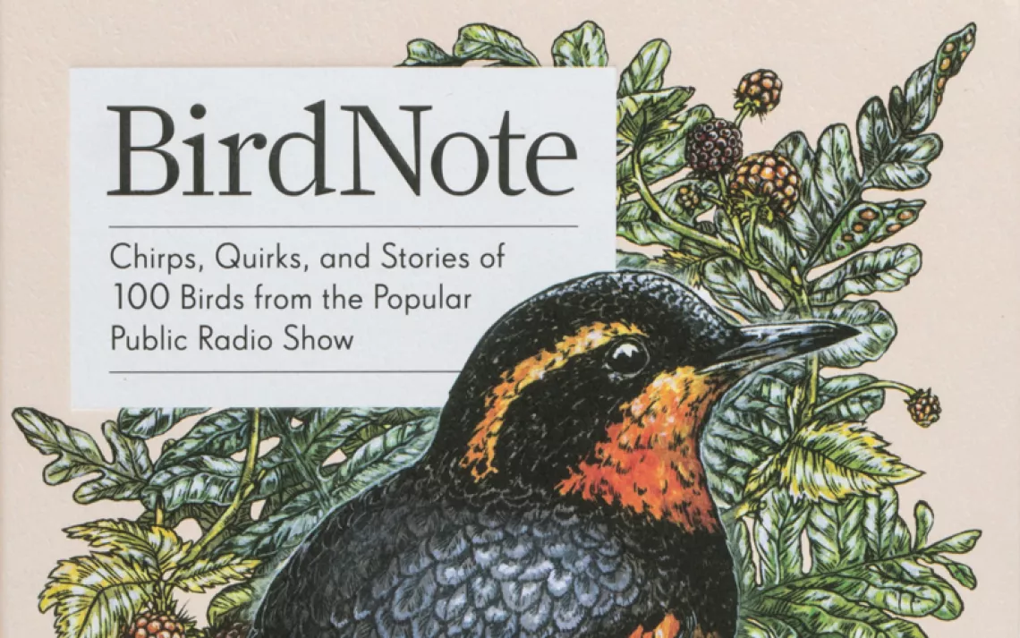 "BirdNote" is packed with fun facts about all things winged and airborn
