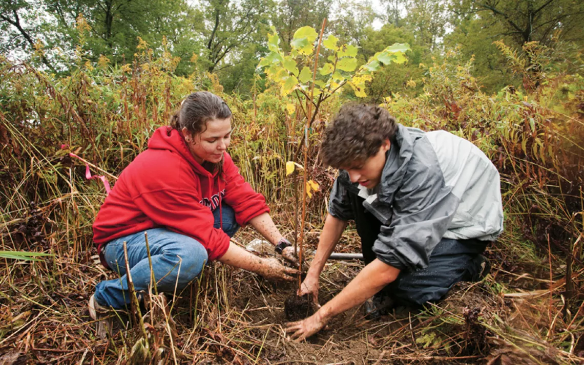 Students in the Local Flora class at Green Mountain College plant an American elm as part of the college’s riverine floodplain forest restoration work on campus, in the buffer zone along Vermont’s Poultney River. 