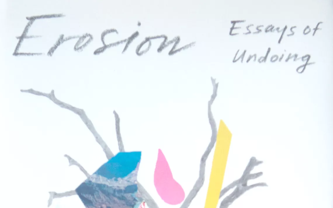 Erosion: Essays of Undoing by Terry Tempest Williams