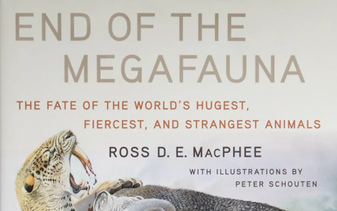 End of the Megafauna: The Fate of the World's Hugest, Fiercest, and Strangest Animals by Ross D E MacPhee, Peter SChouten, W.W. Norton