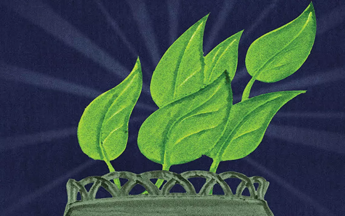 Illustration shows the Statue of Liberty's torch with green leaves growing out