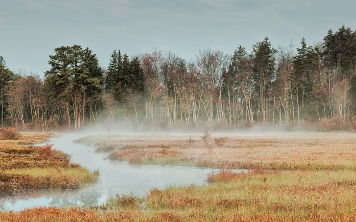Steam rises from water in a field at New Jersey Pinelands National Reserve.
