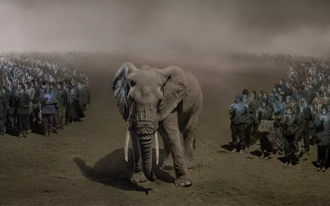 In River of People With Elephant at Night, an elephant stands in between two lines of people, all looking down at their phones.