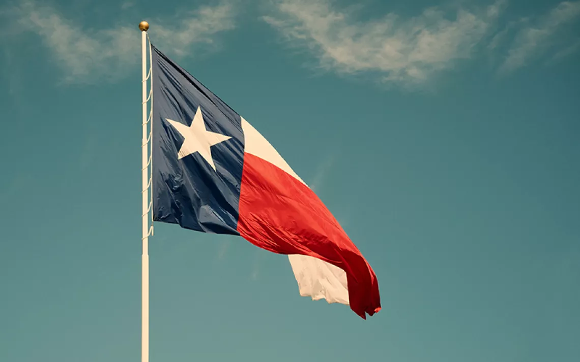 Texas flag