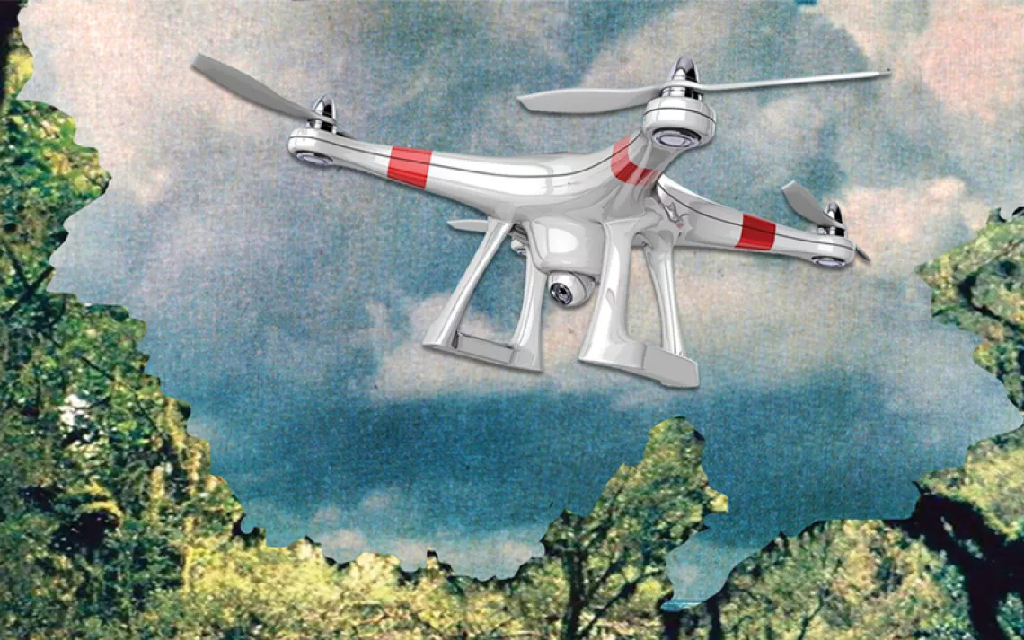 Photo illustration shows a white drone over a forest with a deer and a succulent in the foreground.