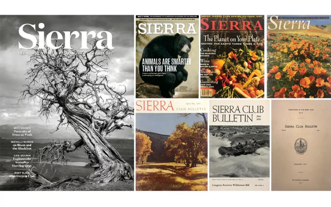 A series of Sierra covers, three from the Sierra Club Bulletin, three from Sierra bimonthlies, and the first quarterly issue.