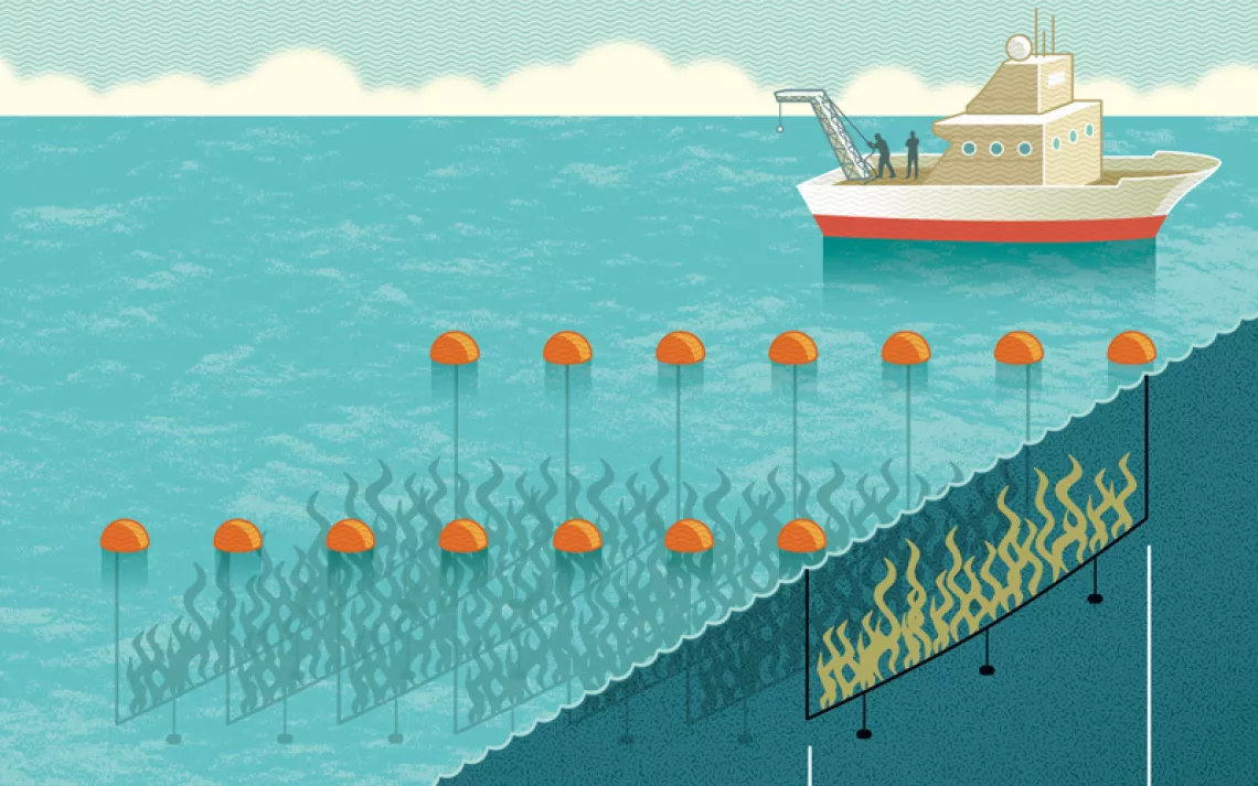 Infographic shows the process of growing kelp in the ocean to sink it for carbon sequestration.