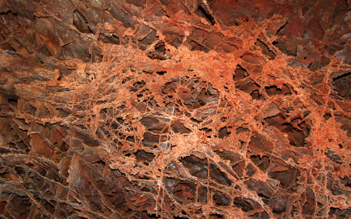 Boxwork formation in Wind Cave, SD courtesy of Wirepec