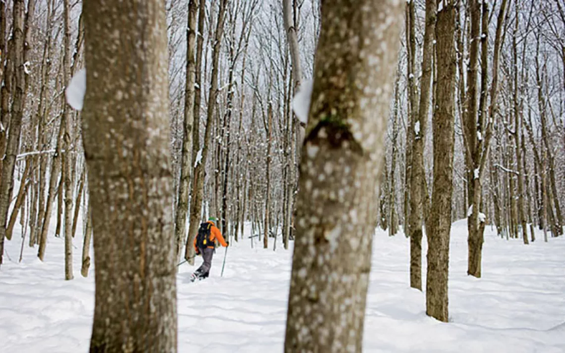 Vermont's 300-mile Catamount Trail