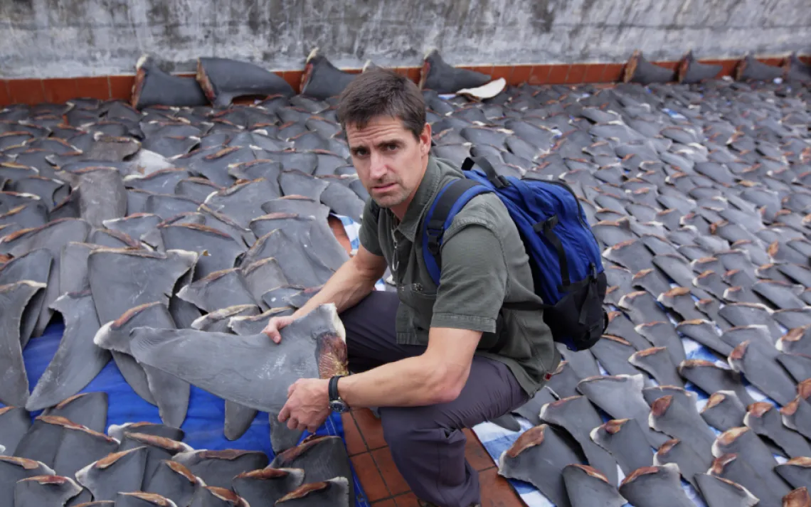 Racing Extinction premiers December 2nd.