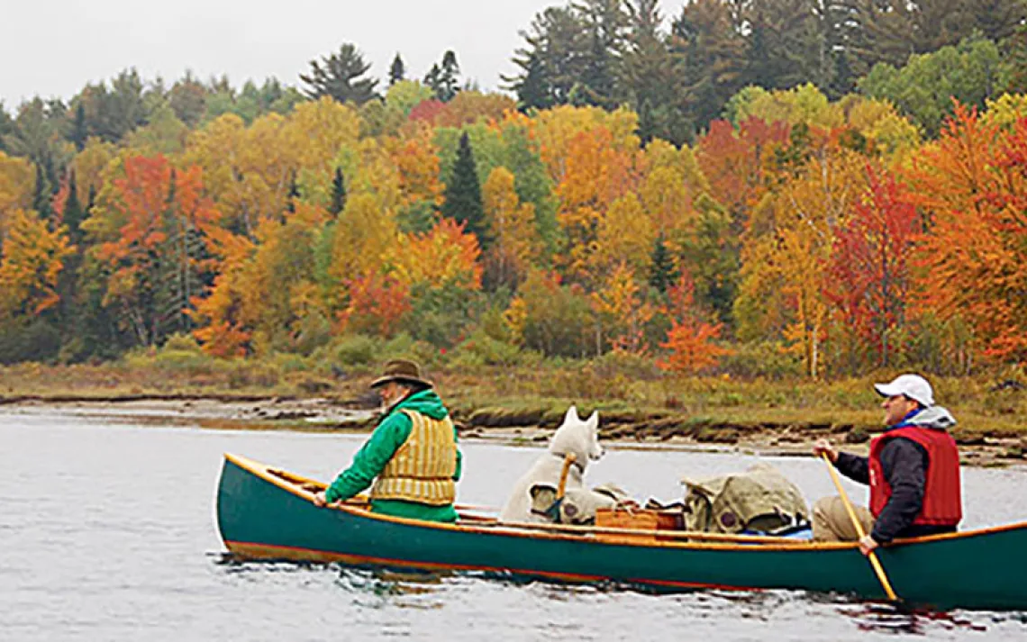 Wilderness guide Kevin Slater, with his husky Cara, lets the author do the work along Chesuncook Lake.