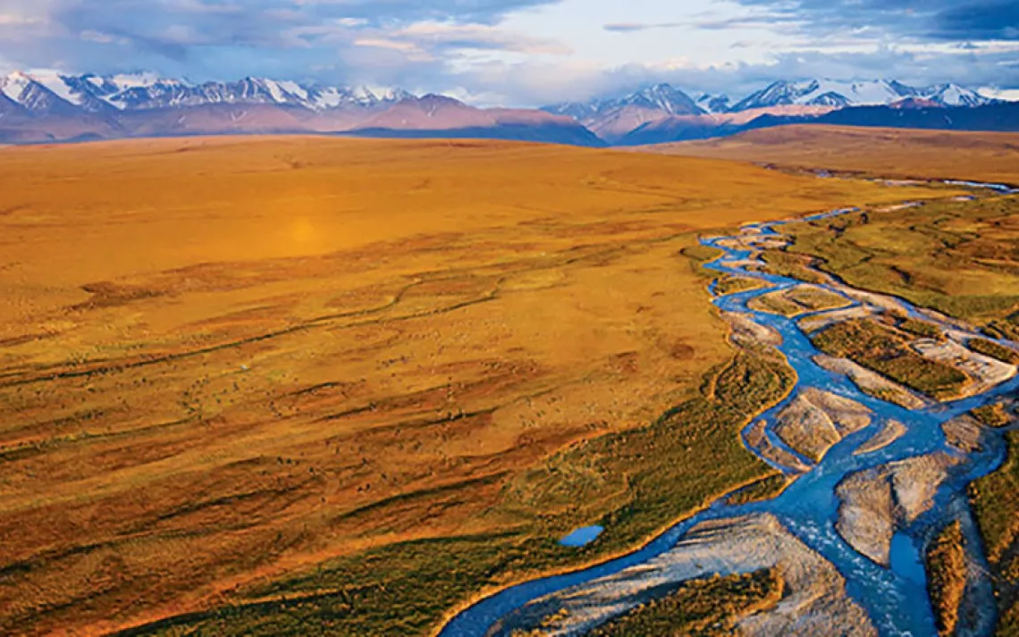 The coastal plain of the Arctic Refuge is the preferred calving ground of the Porcupine caribou herd, and the preferred drilling ground of the oil industry. | Photo by Florian Schulz/Visions of the Wild