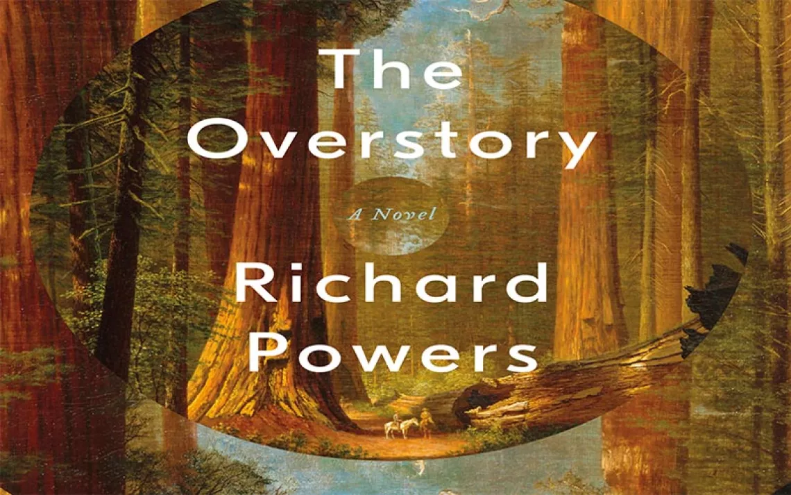 In His New Novel, Richard Powers Writes From a Tree's Point of View