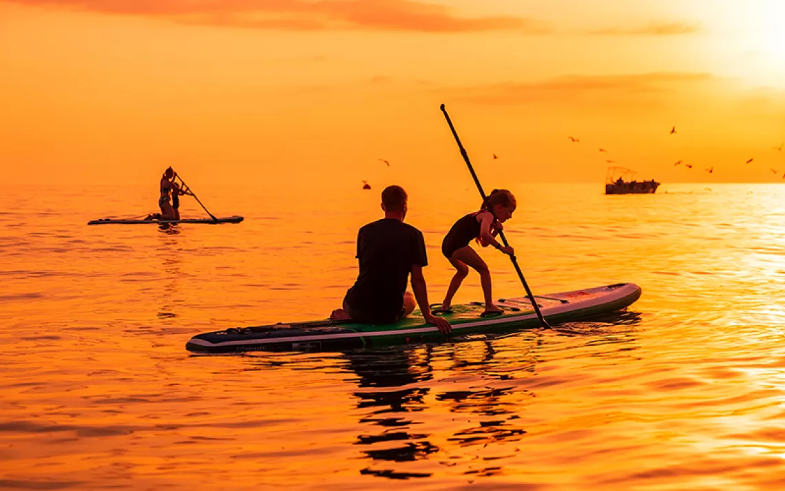 Paddleboarders silhouetted against an orange sea and sky
