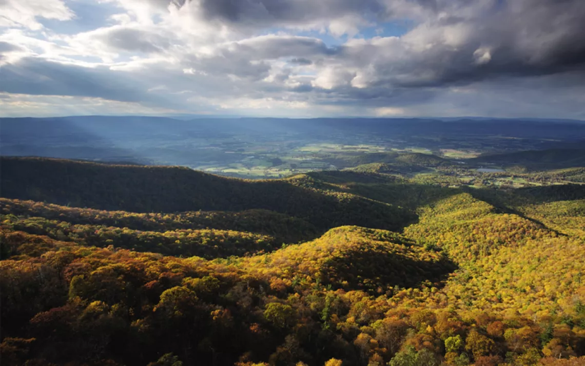 View in Shenandoah National Park with fall foliage on the ground and a cloudy sky.