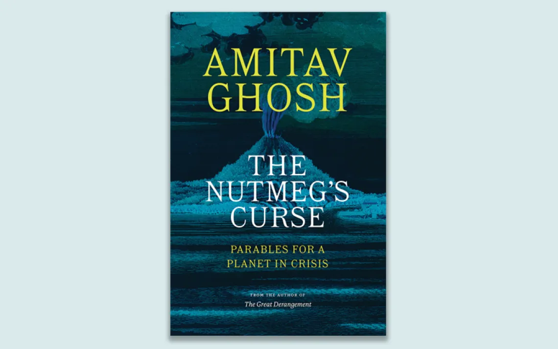 The Nutmeg's Curse