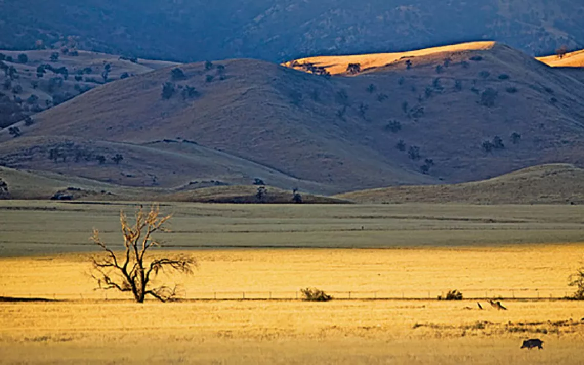 Tejon Ranch, more than a quarter-million acres of valley oak, feral pigs, and just plain wild.