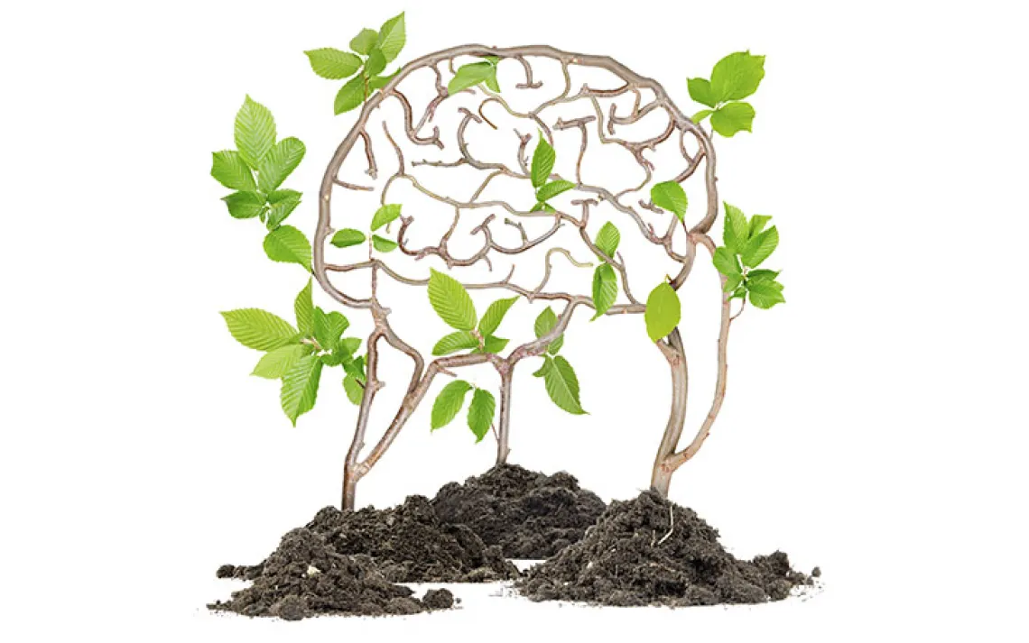 The mental health benefits of going green.