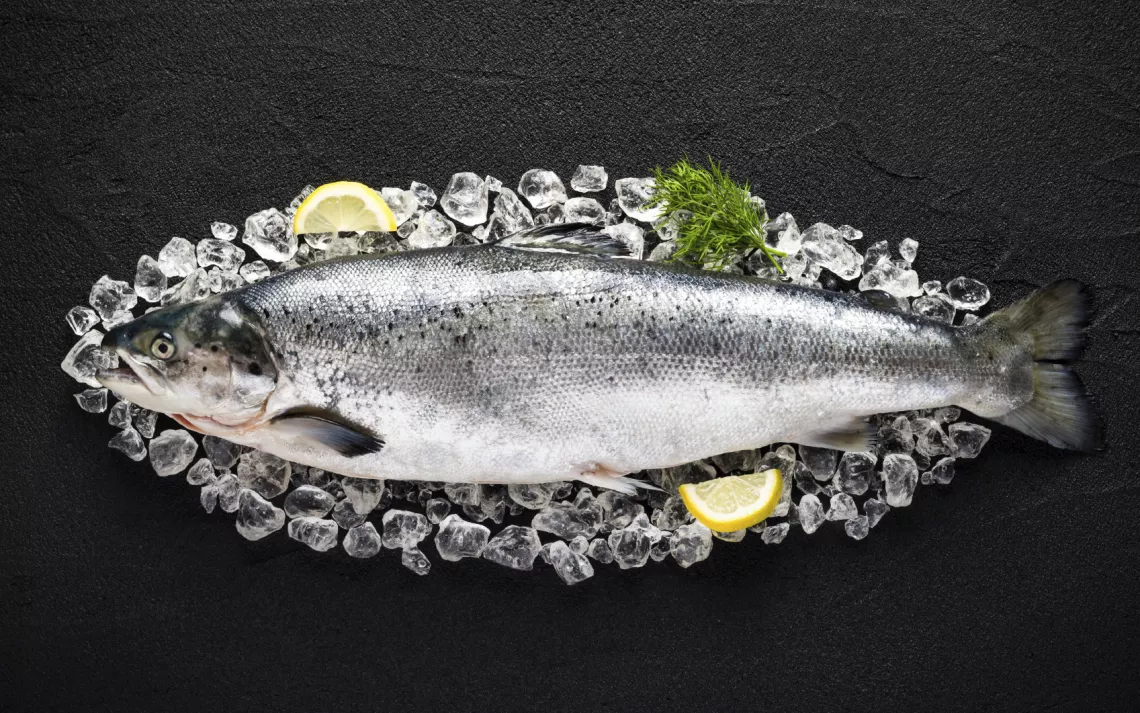 Dead fish