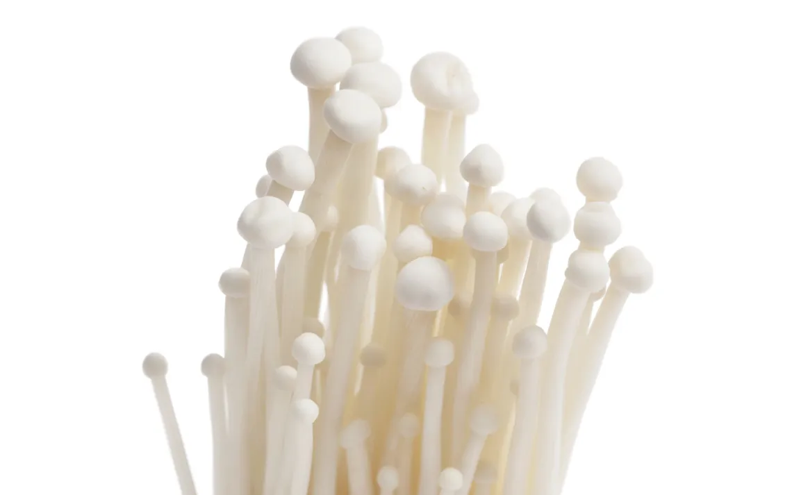 Enoki