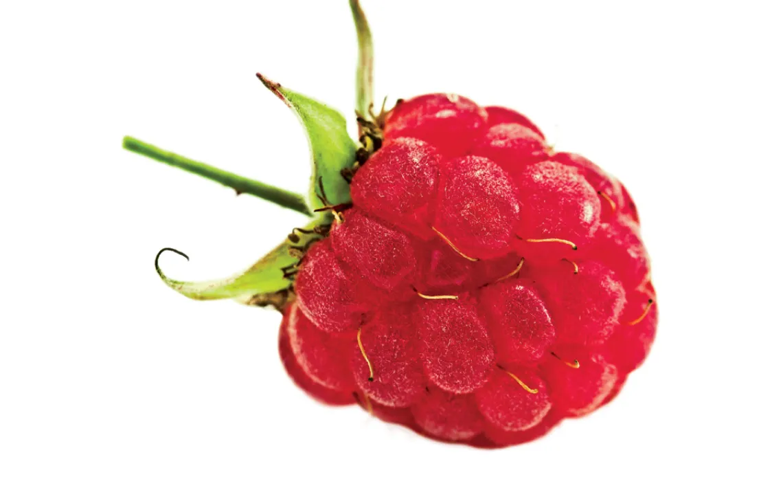 Raspberries