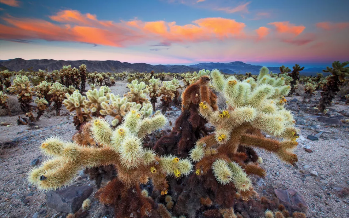 Wilderness Slideshow