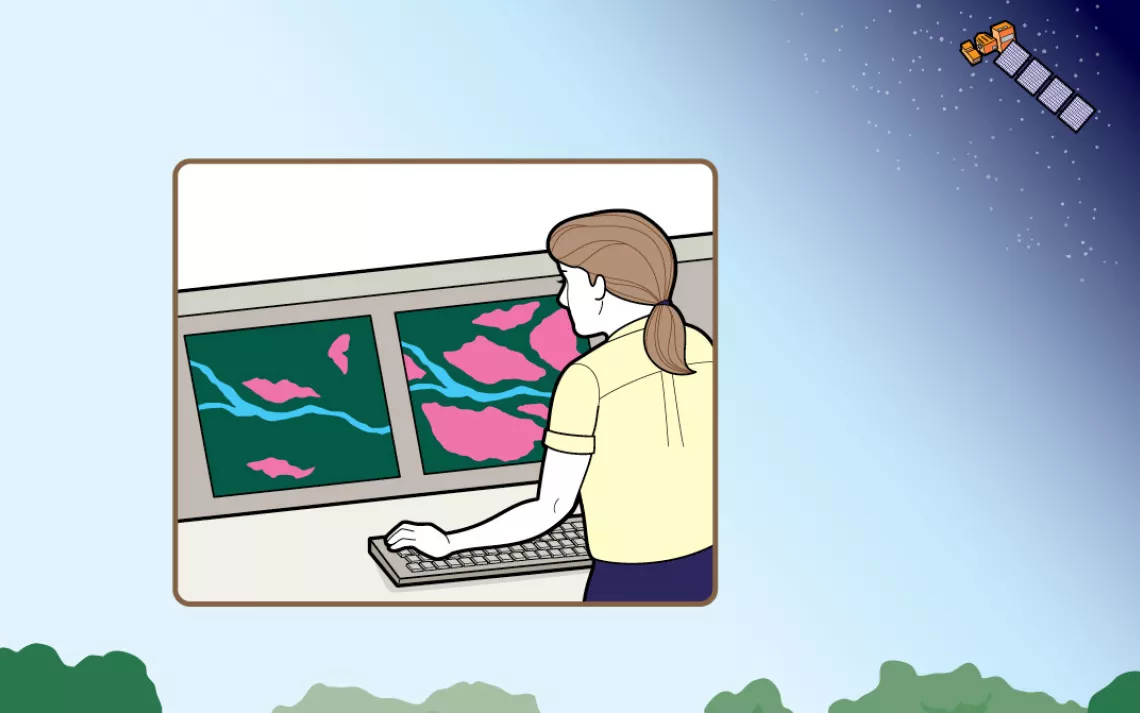 The World Resources Institute's project Global Forest Watch keeps an eye on forests from above.