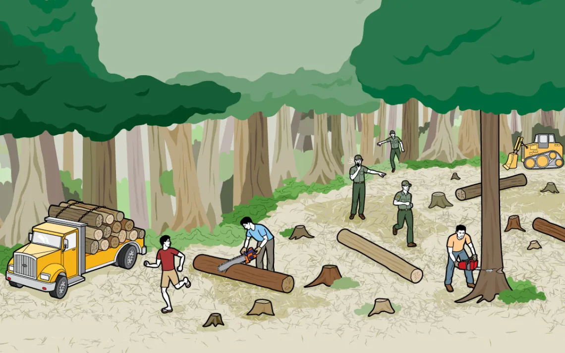 Since 2000, the world has lost about 100 square miles of forest every day. Deforestation in the Amazon, where cattle ranchers and soybean farmers have slashed through woodlands to make way for pastures and fields, has slowed recently, but Indonesia has em