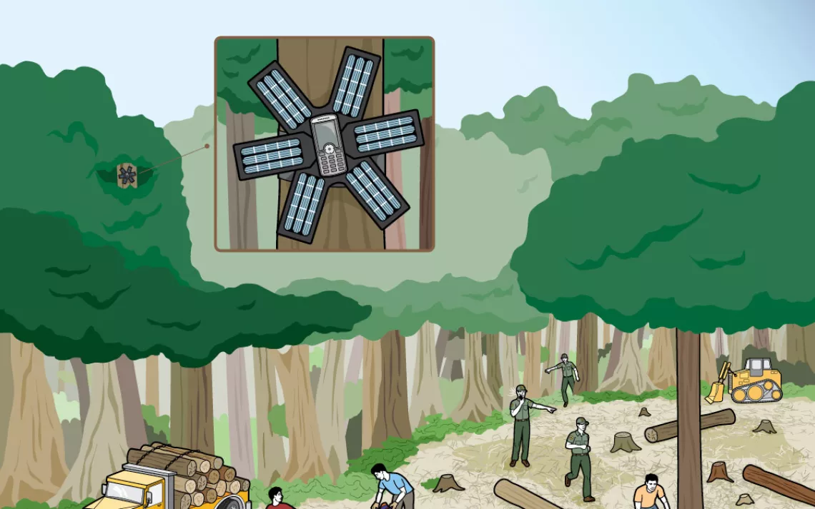 Rainforest Connection employs old smartphones to listen for trouble.