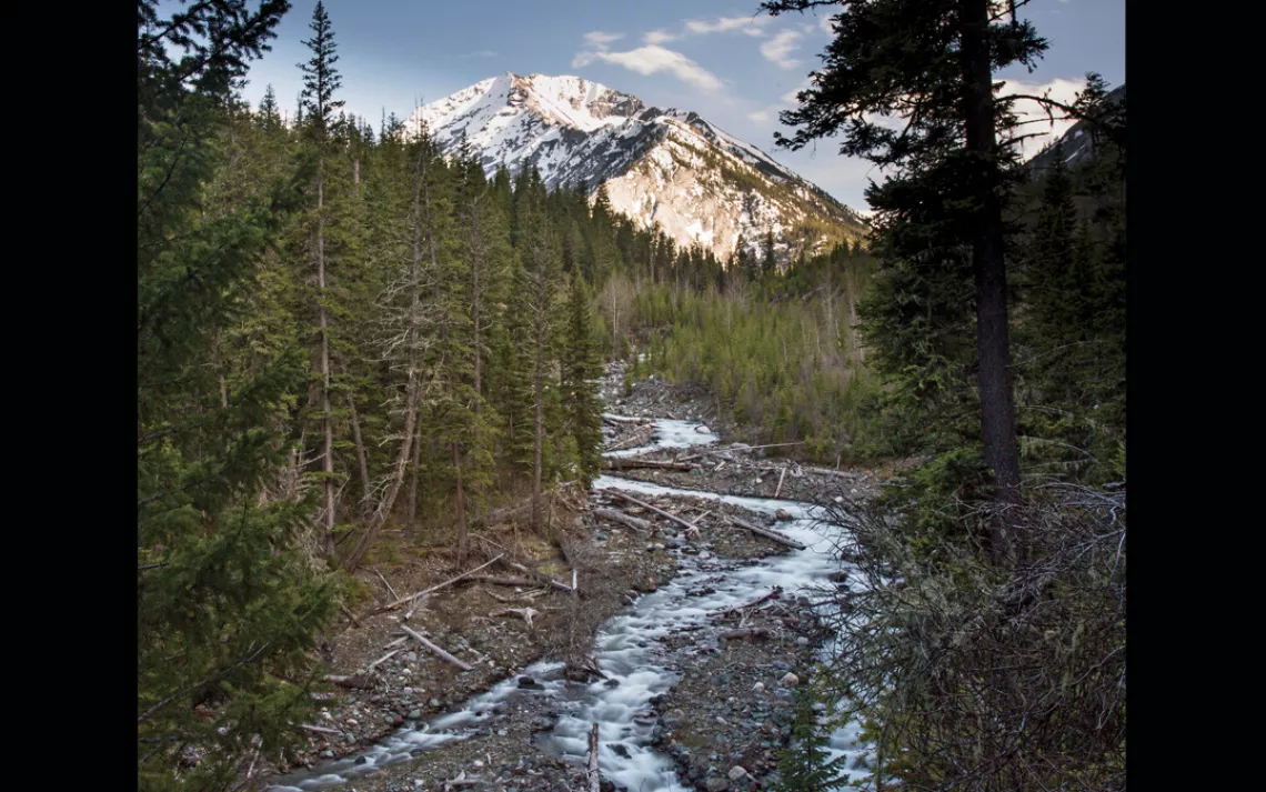 Wolf territory—Hurricane Creek, Sacajawea Peak, in Oregon’s Eagle Cap Wilderness.