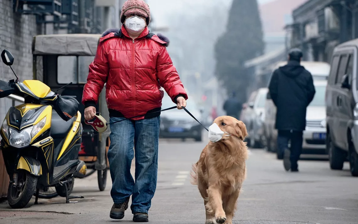 A man and his dog, both wearing masks, walk along a small alley on a hazy day in Beijing, February 23, 2014. China's capital Beijing, under fire to take effective measures against air pollution, raised its four-tiered alert system to "orange" for the firs