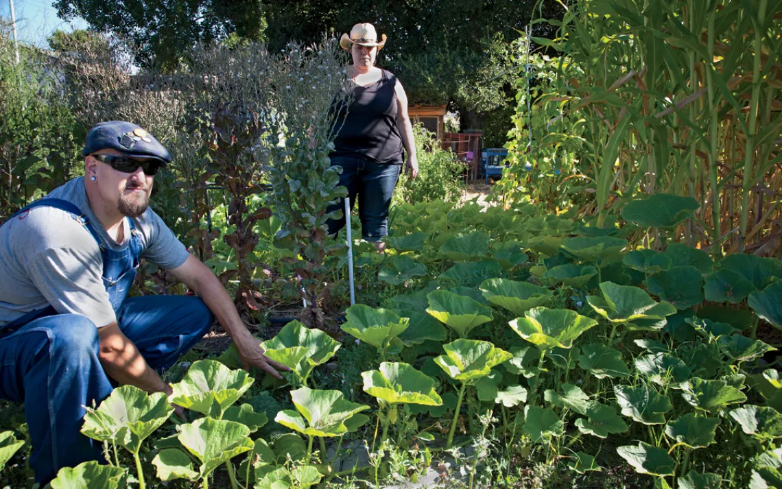 In 2010, Rachel Hoff and Tom Ferguson  watched a documentary called No Impact Man, in which New Yorker Colin Beavan attempts to bring his family's environmental  footprint down to zero.  Inspired, Hoff and Ferguson decided to stop buying nonloca