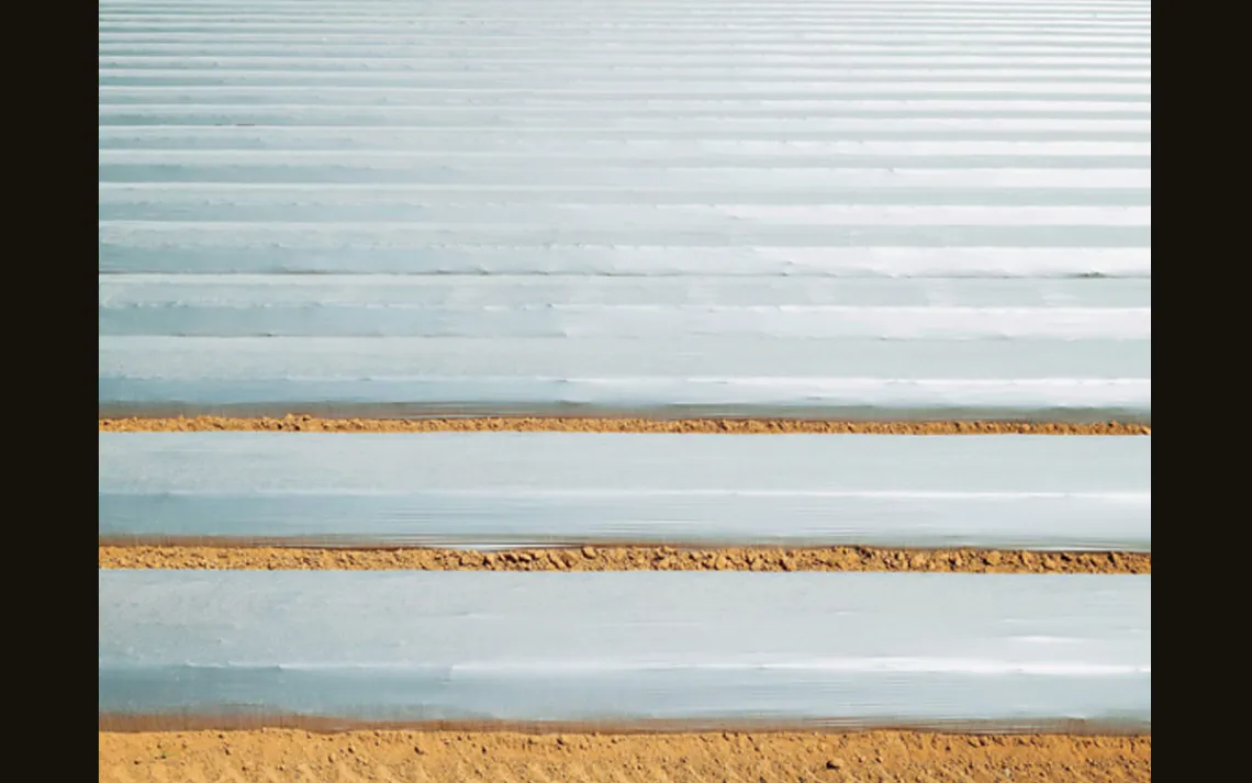Strawberries sit high on the list of foods that should be eaten organic, because of the egregious amount of pesticides most farmers use to grow them. If you see rows of plastic-covered strawberry beds, like these near Salinas, California, know that the pl