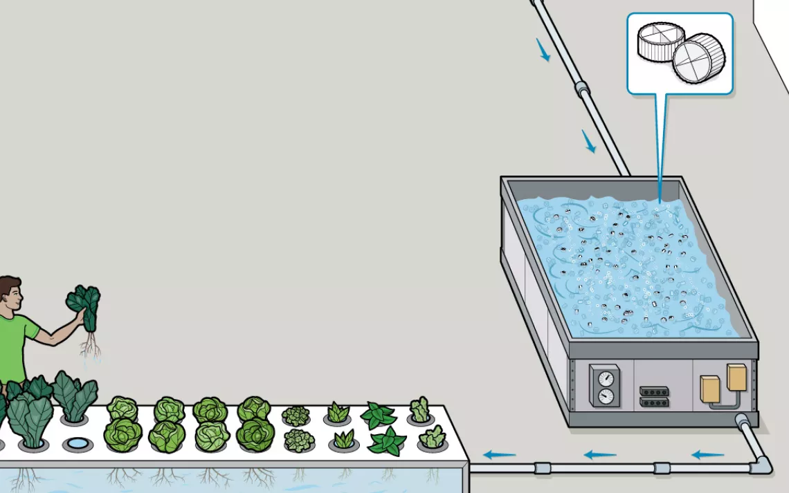 After the heavy waste has been separated out, the water flows into a 12-foot-long biofilter.